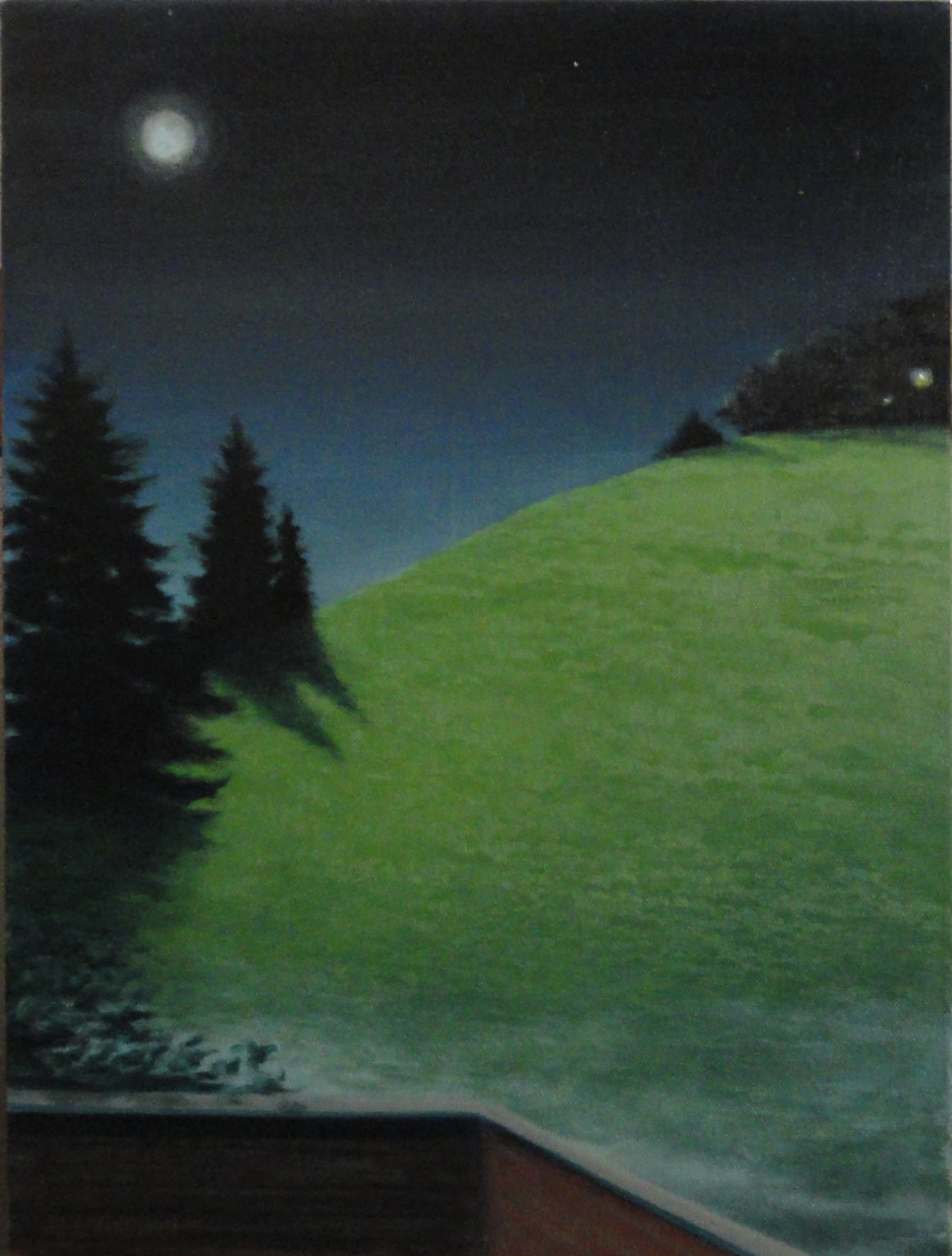 Bea’s Moonlight by Sue Sneddon, oil on canvas, 16 x 12 at Craven Allen Gallery     950  SOLD