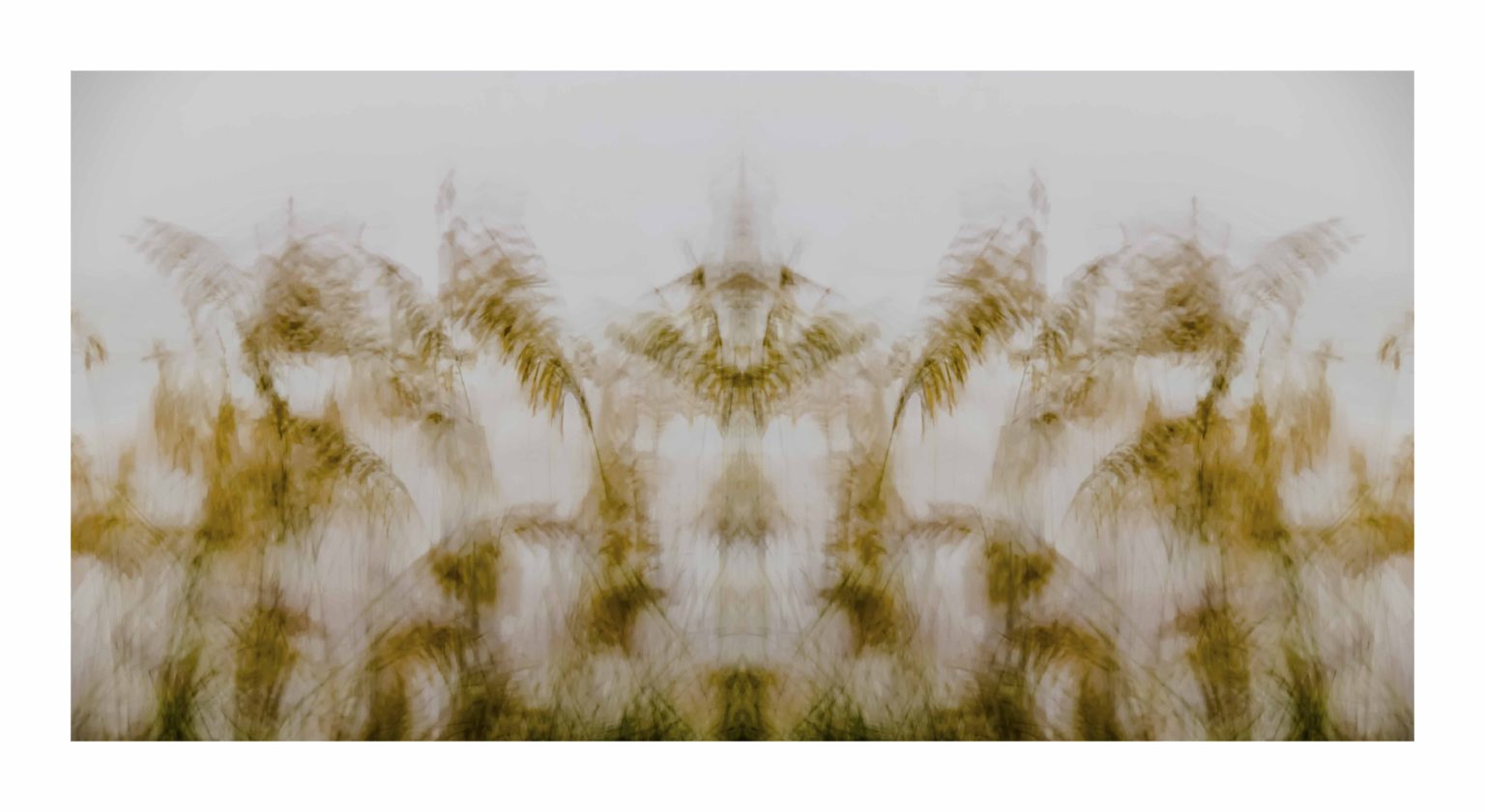 SeaGrass by Dan Gottlieb, inkjet print and acrylic on plexiglass. 36×66 at Craven Allen Gallery