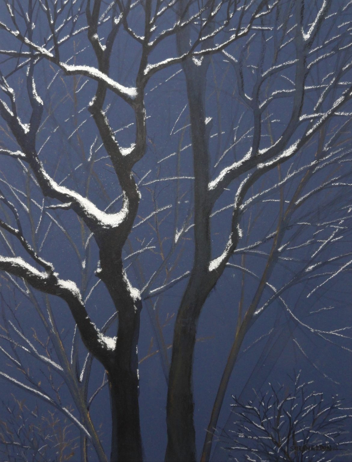 Snow Trees by Sue Sneddon mixed media 11.5 x 8.5 framed size 19 x 16 at Craven Allen Gallery  650