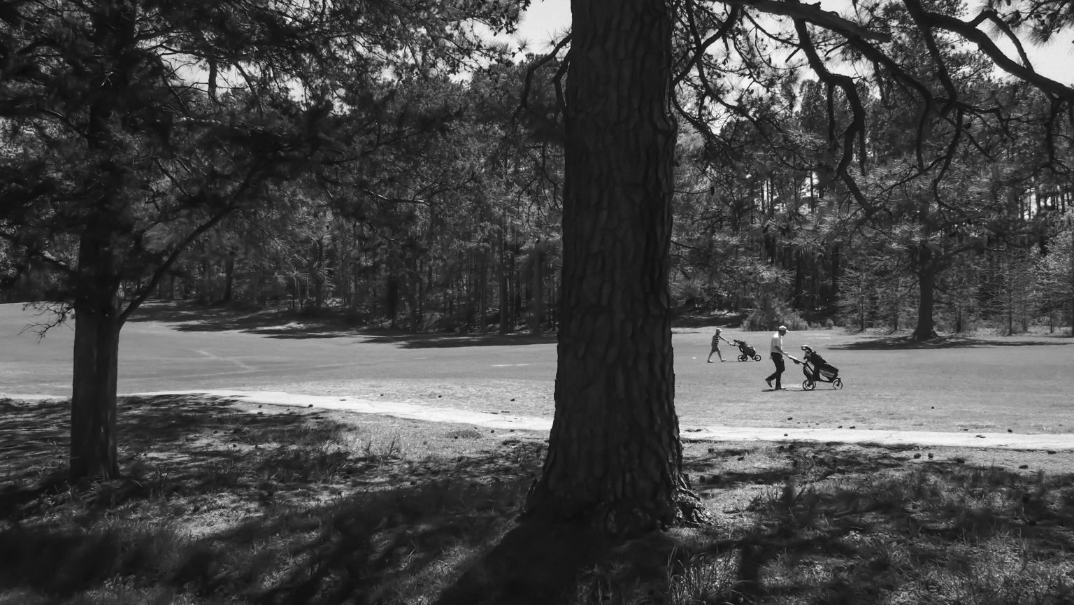 Hillandale Golf Course, Durham, NC Covid19 Closed, for the Moment by Dan Gottlieb